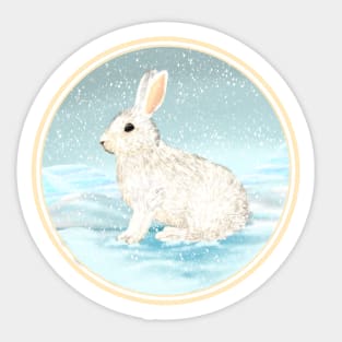 Snowshoe Hare Snowy Day Sticker